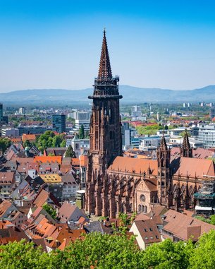 Eingang zur Aczepta Akademie für Pflegeberufe, mit einem grünen Schild über der Tür. Bunte Figuren sind im Fenster sichtbar, umgeben von Pflanzen und Bäumen.