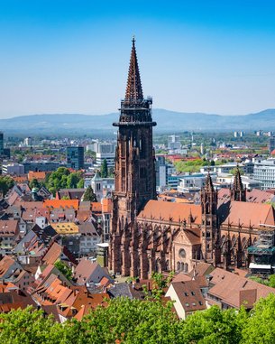 Eingang zur Aczepta Akademie für Pflegeberufe, mit einem grünen Schild über der Tür. Bunte Figuren sind im Fenster sichtbar, umgeben von Pflanzen und Bäumen.