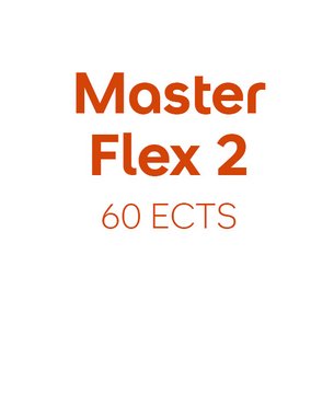 Master Flex 2, 60 ECTS.