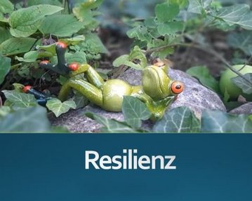 Eine grüne Froschfigur liegt entspannt auf einem Stein, umgeben von Pflanzen. Darunter steht das Wort "Resilienz".