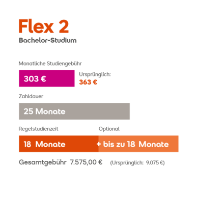 Flex 2 Tarifdetails: Monatliche Grundgebühr 303 €, Laufzeit 25 Monate, regulär 18 Monate, Gesamtkosten 7.877,00 €.