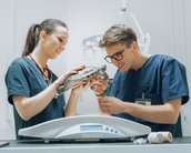 Zwei Tierärzte in blauen Kitteln untersuchen eine Schildkröte auf einer Waage in einer Tierarztpraxis.